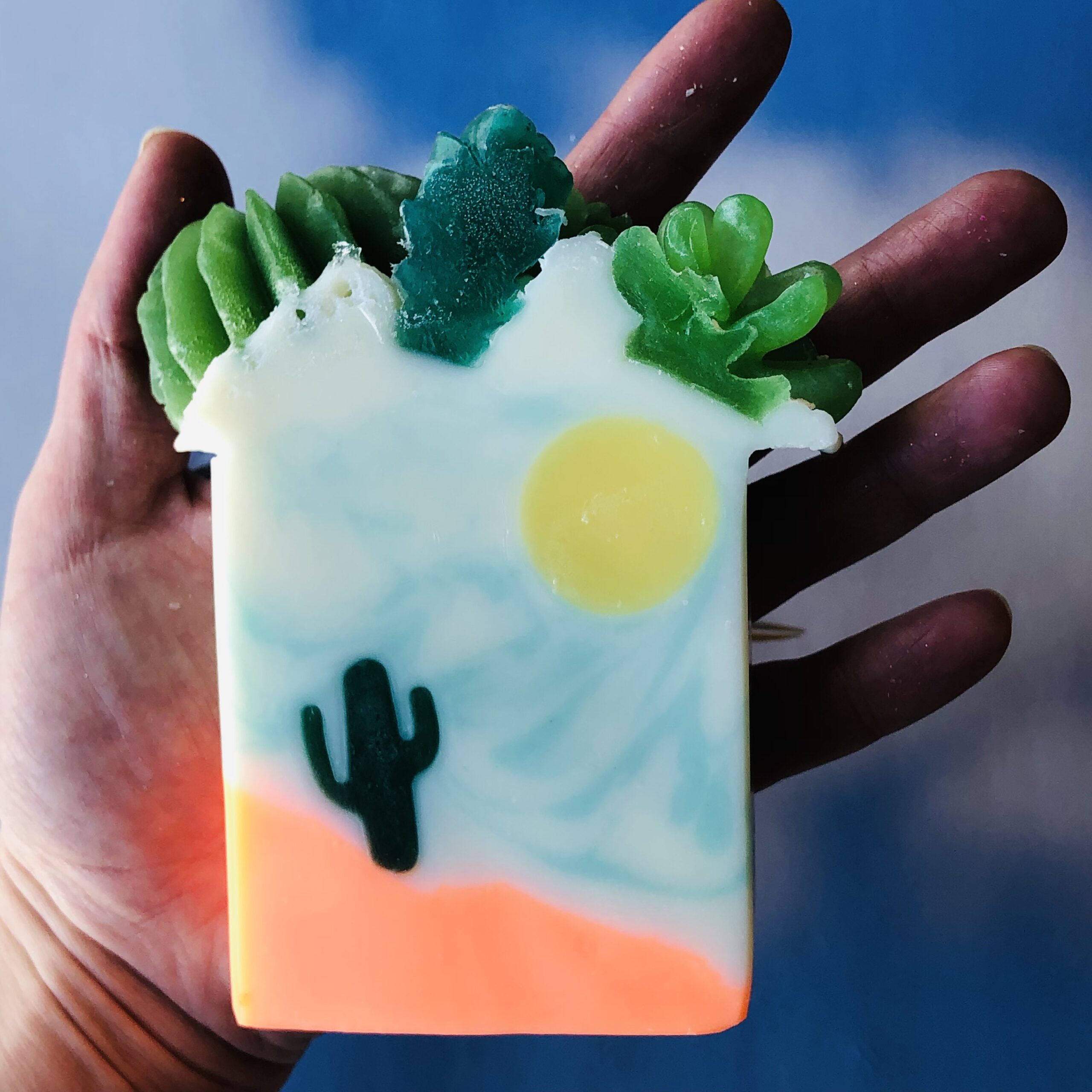 Baja Cactus - Image 2